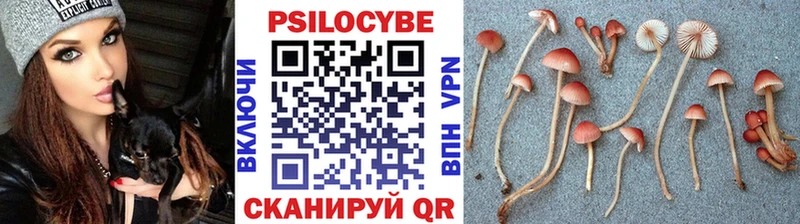 мега онион  где найти наркотики  Рыльск  Галлюциногенные грибы ЛСД 